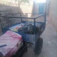 بودی متور