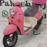 انواع پاکشتی به صورت نقد و اقساط