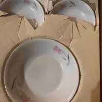 کاسه وپیاله آجیل خوری گل صورتی
