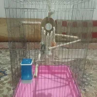 قفس پرنده بزرگ