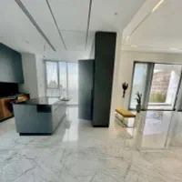 ۲۳۰متر نیاوران مدرن سرشار از انرژی مثبت