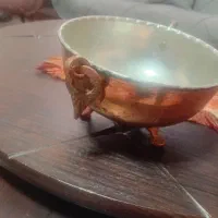اجیل خوری مسی