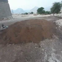 کود حیوانی درجه یک