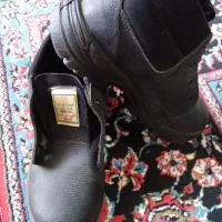 پوتین ایمنی