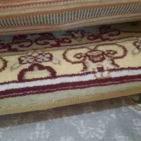 دوعدد باهم|پشتی|کرج, برغان|دیوار