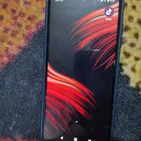 پوکو اس تری پرو