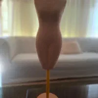 رگال و مانکن و شاخک