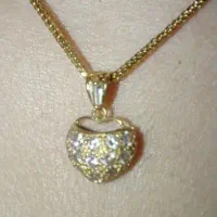 گردنبندورساچ/پلاک/حلقه