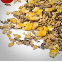 کنسانتره اجیلی پرواری و شیری و اسب و دان مرغ