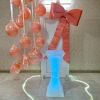 بادکنک آرایی|خدمات پذیرایی، مراسم|ری, حمزهآباد|دیوار