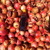 فروش رب انار اعلا