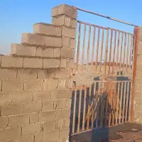 باغچه-دیوار-کشی-پسند-تک-برگ