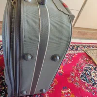 چمدان|کیف، کفش، کمربند|گلپایگان, |دیوار