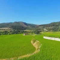 دنبال زمین گشاورزی اجاره‌ای