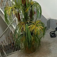 درختچه مصنوعی گل مصنوعی