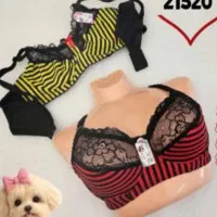 لباس زیر زنانه|لباس|میناب, |دیوار