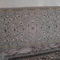 فرش ۹ متری ۱۲۰۰شانه|فرش|کامیاران, |دیوار