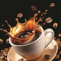 پخش قهوه خاتون