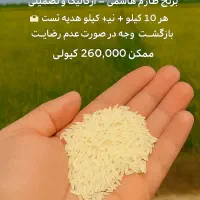 برنج طارم هاشمی با تضمین برگشت کالا|خوردنی و آشامیدنی|تهران, آشتیانی|دیوار