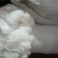 استخدام کارگر ساده|استخدام صنعتی، فنی، مهندسی|تهران, هرندی|دیوار