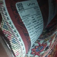 کناره|فرش|زاهدان, |دیوار