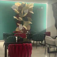 نظافت چی و ظرف شور