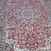 فرش ۶ متری|فرش|بیرجند, |دیوار