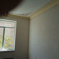 نقاشی ساختمان|خدمات پیشه و مهارت|همدان, |دیوار