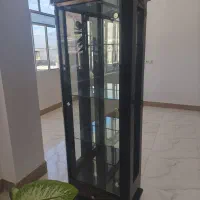 ویترین درحدنوسالم