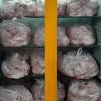 قطعه بندی مرغ زیر قیمت
