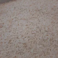 برنج هاشمی گیلان