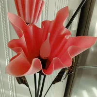 کنار سالنی|چراغ خواب و آباژور|پرند, فاز ۵|دیوار