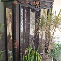 فنچ و قفس بزرگ