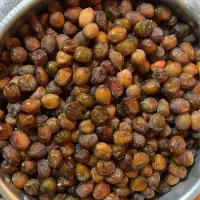 رطب وخرمای خاصه جم
