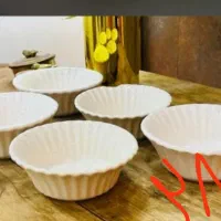 ظروف پذیرایی