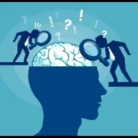 مشارکت در پایان نامه