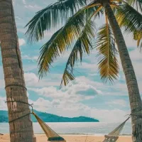 همخونه میشم