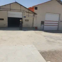 نیرو سالن پرورش کبک مولد