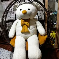 تاب عروسک|اسباببازی|سقز, |دیوار