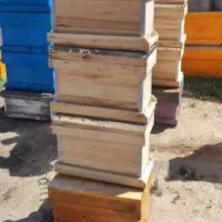 فروش کندو ،چوب کارت