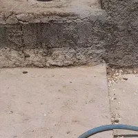 با سلام فروش کفتر جفت غوره ای پلاکی|پرنده|شیراز, جانبازان|دیوار