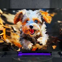 تلویزیون ۶۰ هیمالیا زیر قیمت|تلویزیون و پروژکتور|سنندج, |دیوار