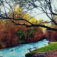 تابلو فرش و تابلو ایت الکرسی