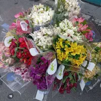 سوپر گلهای طبیعی