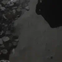 مقدار زمین به فروش می‌رسد در کهن کریم