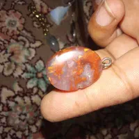 سنگ شجر
