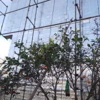 ۵۰تومن نصب ایزوگام|خدمات پیشه و مهارت|بابلسر, |دیوار