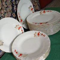 ظروف چینی|ظروف سرو و پذیرایی|شیراز, تندگویان|دیوار