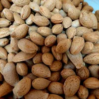 فروش بادام سنگی نو و تازه  با کیفیت و طعم عالی|خوردنی و آشامیدنی|جم, |دیوار