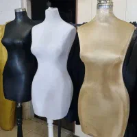 مانکن